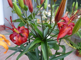 Foto: Dr. Peter Müller